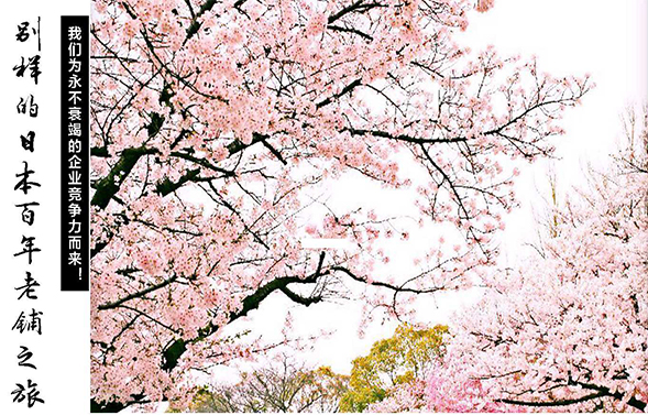 日本：我們?yōu)橛啦凰ソ叩钠髽I(yè)競(jìng)爭(zhēng)力而來！